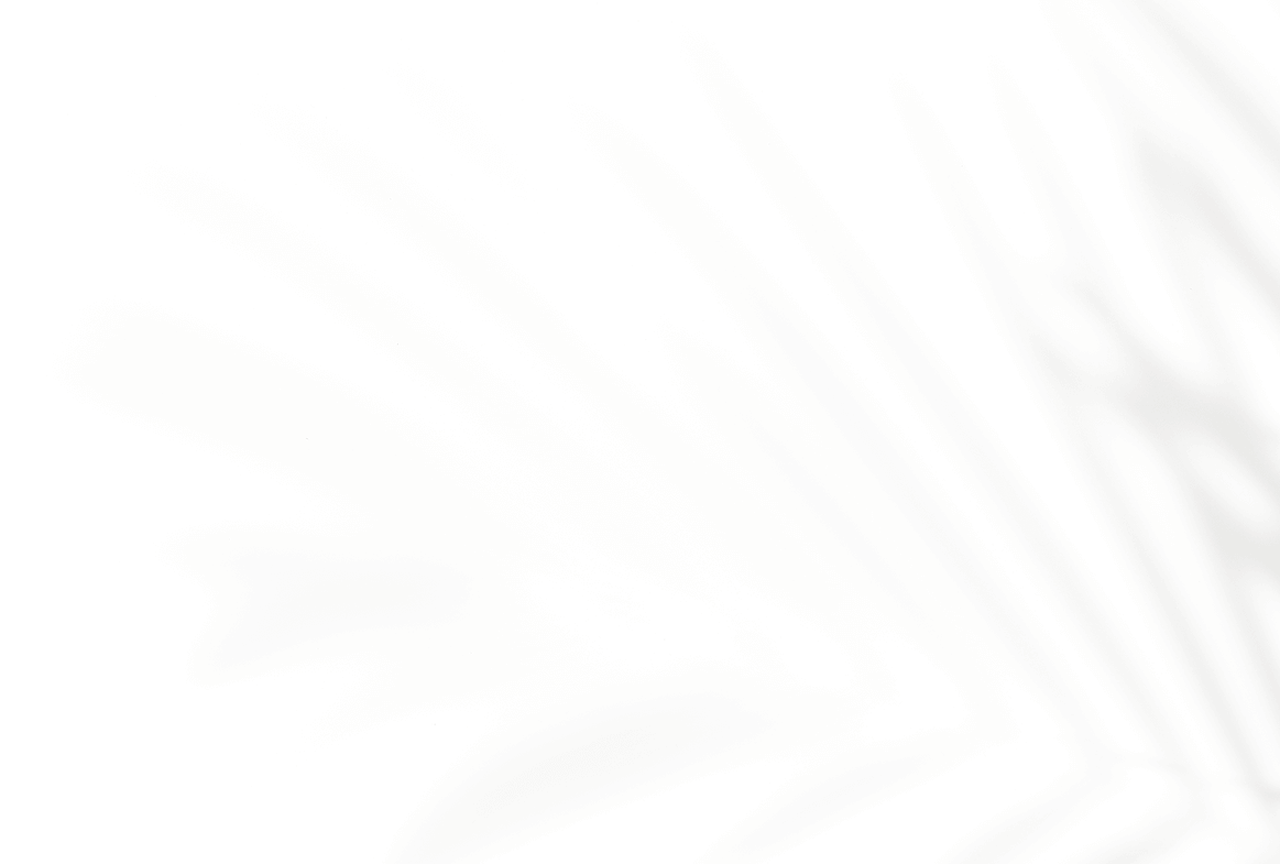 Zivo